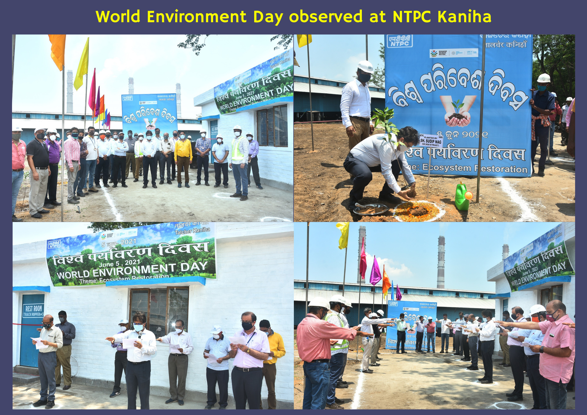 World Environment Day observed at NTPC Kaniha